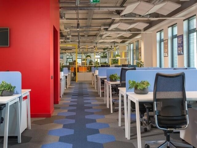 河南双管泵定做